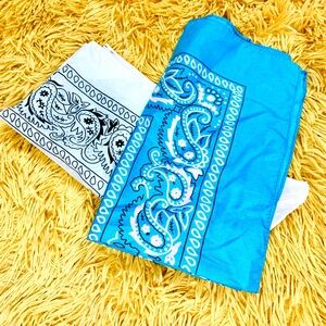 Bandanas (2) Handkerchief style bright blue and white paisley patterned